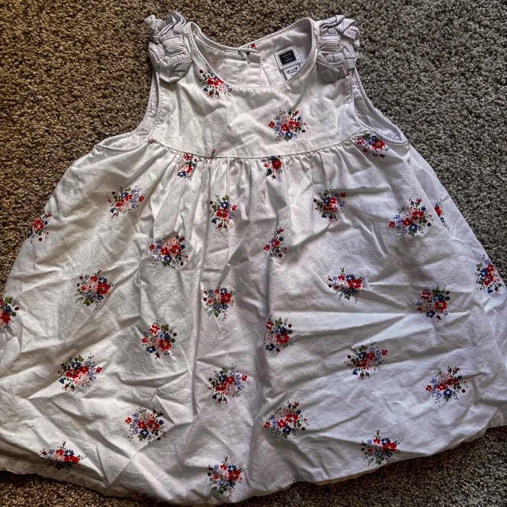 Janie and Jack Dress